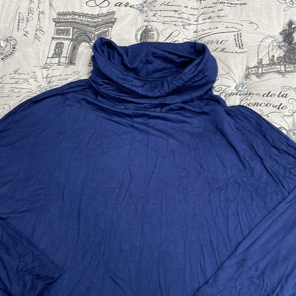 Caslon Long Sleeve Cowl Neck Tunic - Picture 2 of 6